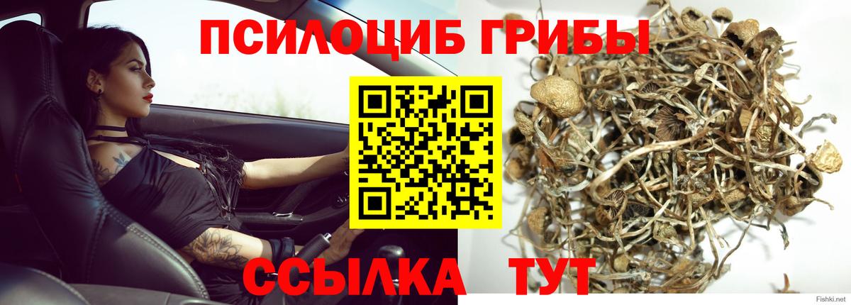 Псилоцибиновые грибы Magic Shrooms Димитровград