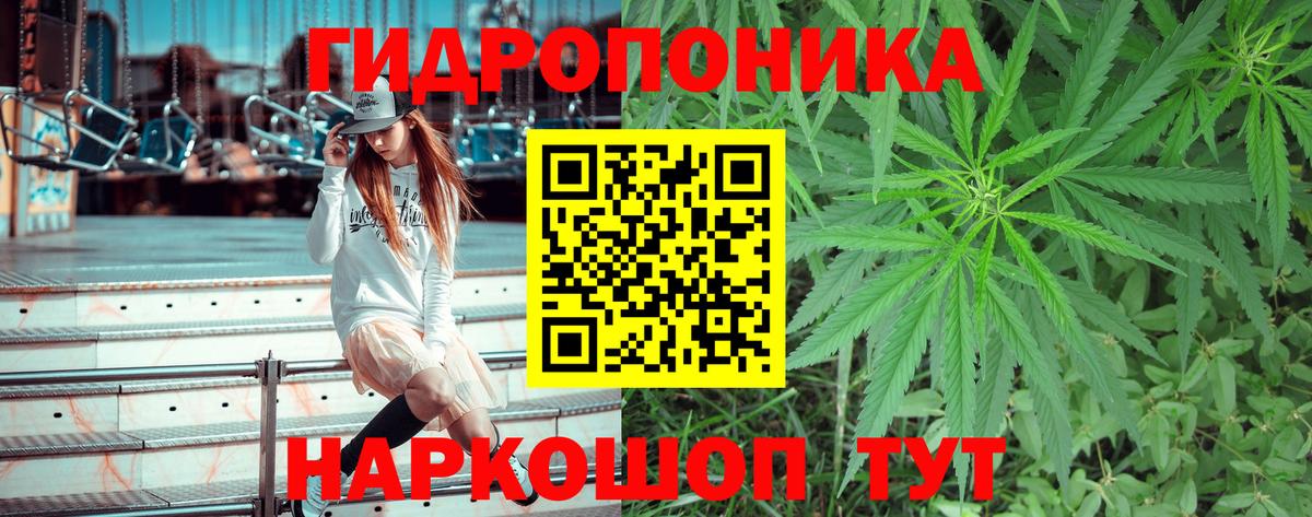 Бошки Шишки тримм Димитровград